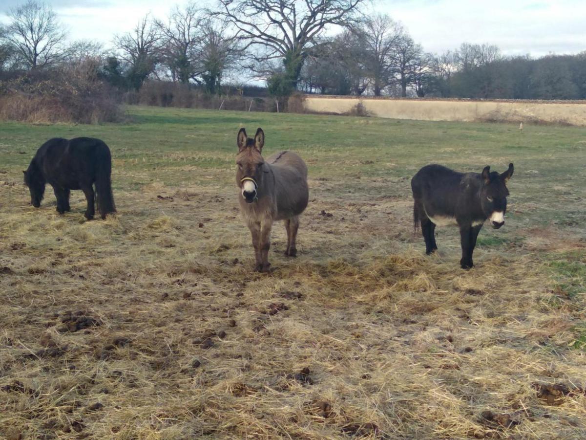 Bergerie Restauree Avec Cheminee, Jardin Clos, Animaux Acceptes - Fr-1-489-13 Sauvagny Екстериор снимка