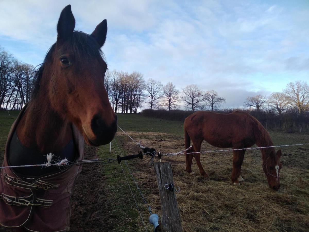 Bergerie Restauree Avec Cheminee, Jardin Clos, Animaux Acceptes - Fr-1-489-13 Sauvagny Екстериор снимка